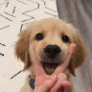 Meet your Posher, Daniel james